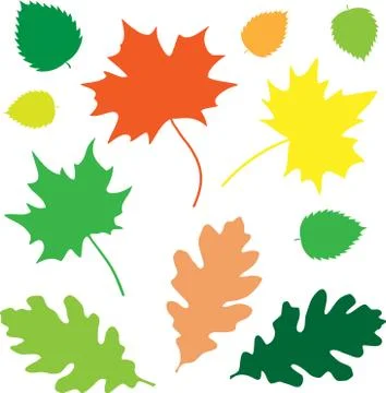 Leaves basic Stock Illustration