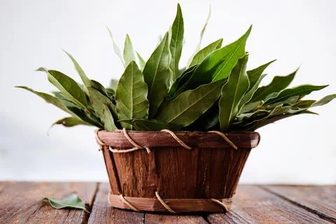 Leaves in a basket Foto stock