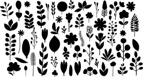 Leaves big vector collection. Set of graphical elements with various leaf d.. Stock Illustration