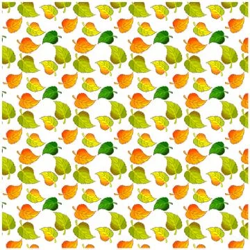 Leaves of a birch pattern Stock Illustration