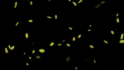 Leaves on Black Background. Background of fluttering leaves Stock Photos