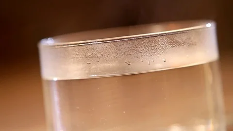 Leaves Of Black Leaf Tea Are Brewed In A Glass Mug 動画素材 75776957