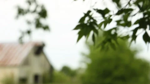 Leaves blowing in front of barn Stock Footage 30232369