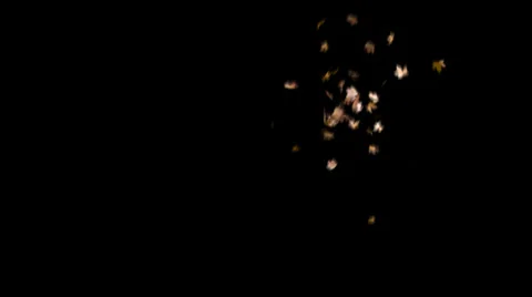 Leaves blowing with motion blur masked 動画素材 33473955