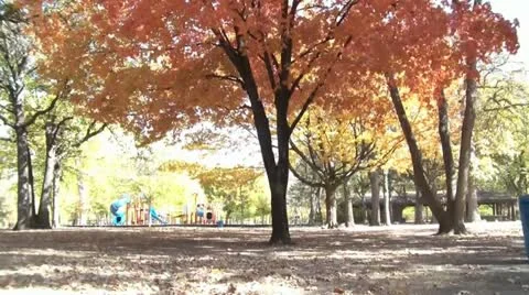 Leaves Blowing in Park Video stock 12592585