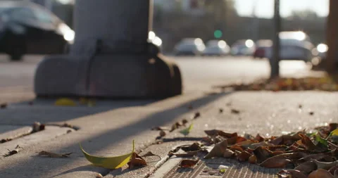 Leaves Blowing In Wind On City Intersection. Autumn In The City Stock Footage 165968006
