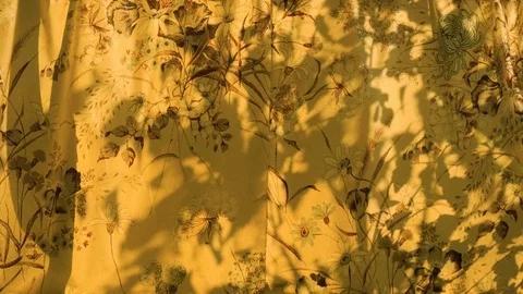 Leaves blowing in the wind leaving a shadow on leaf pattern curtains Stock Footage 72355585