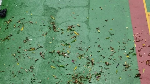 Leaves blown by a small tornado Stock Footage 260661972