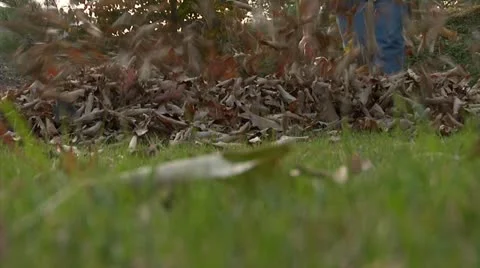 Leaves Blown Towards Camera 1 스톡 동영상 12358945