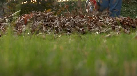 Leaves Blown Towards Camera 2 Video stock 12359012