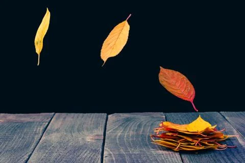 Leaves on the boards Stock Photos