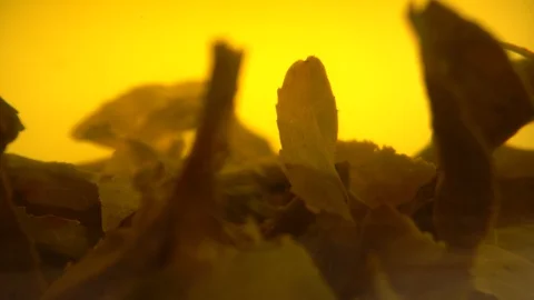 Leaves of brewed green tea close-up Vídeo Stock 130085341