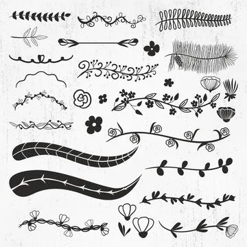 Leaves Bundle, Branches, Leaf, Hand drawn leaves, Branches Bundle Stock Illustration