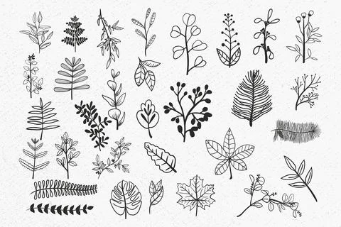 Leaves bundle, greenery floral leaf, floral divider, leaves, leaf, decorative Stock Illustration