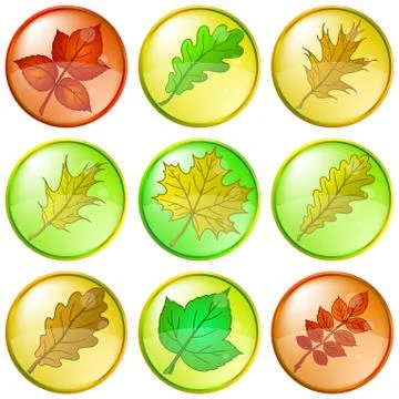 Leaves buttons, set Stock Illustration
