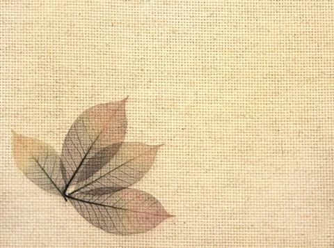Leaves on canvas texture Stock Illustration