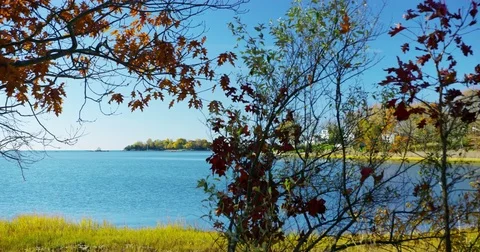 Leaves changing color in a small coastal New England Town. Stock Footage 72990259
