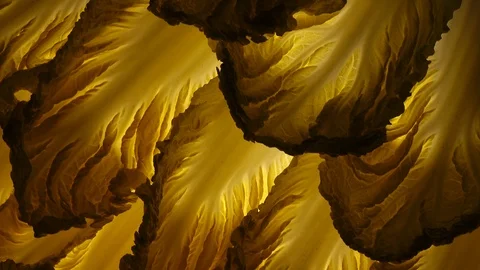 Leaves of Chinese cabbage rotating in 4K 스톡 동영상 86641977