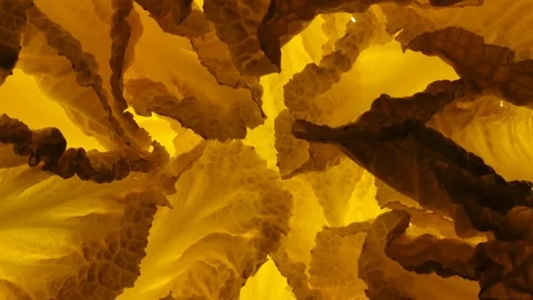 Leaves of Chinese cabbage rotating in 4K. Closeup top view Vídeos de archivo 91069420