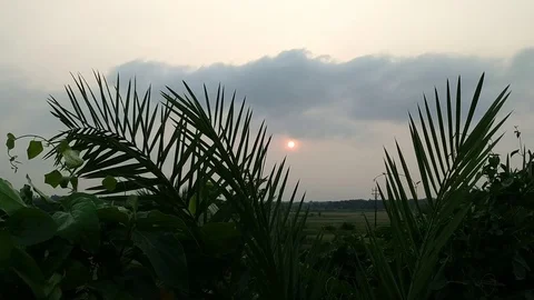 Leaves &amp; Cloudy Sunset Landscape Stock Footage 127085792