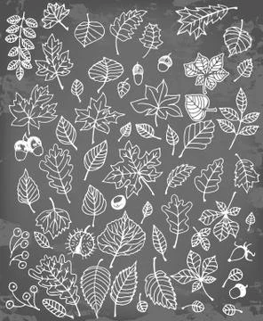 Leaves collection Stock Illustration