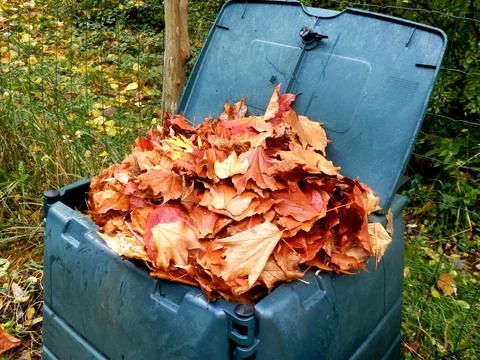 Leaves in compost bin Stock Photos