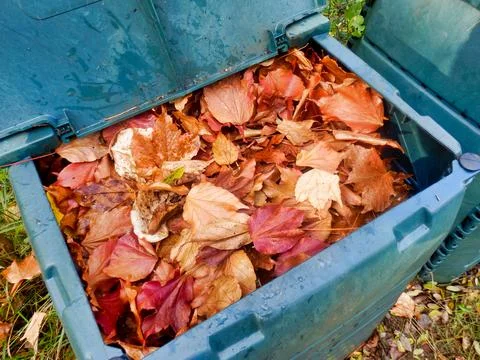 Leaves in compost bin. Stock Photos