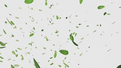 Leaves Confetti Video stock 276753858