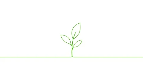 Leaves continuous single one line art drawing planting tree animation video Видео 313421309