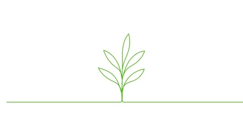 Leaves continuous single one line art drawing planting tree animation video Stock Footage 313421310