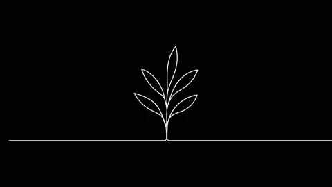 Leaves continuous single one line art drawing planting tree animation video Stock Footage 313421311