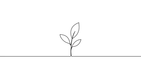 Leaves continuous single one line art drawing planting tree animation video Видео 313421312