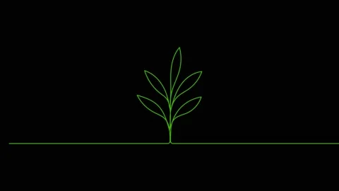 Leaves continuous single one line art drawing planting tree animation video Stock Footage 313421313