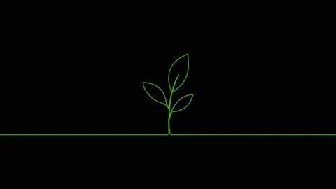 Leaves continuous single one line art drawing planting tree animation video Stock Footage 313421316