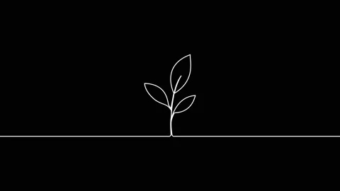 Leaves continuous single one line art drawing planting tree animation video Vidéo 313421317