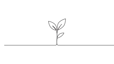 Leaves continuous single one line art drawing planting tree animation video Vídeo Stock 313421318