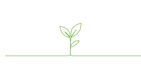 Leaves continuous single one line art drawing planting tree animation video Video stock 313421322