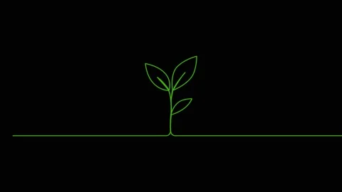 Leaves continuous single one line art drawing planting tree animation video Video stock 313421323