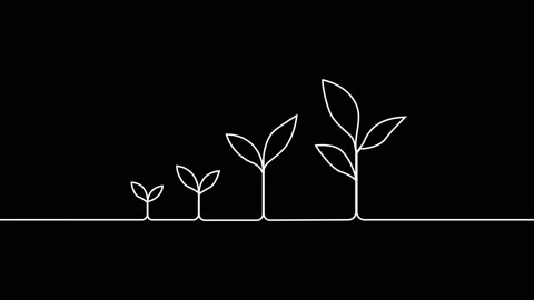 Leaves continuous single one line art drawing planting tree animation video Stock Footage 313421328