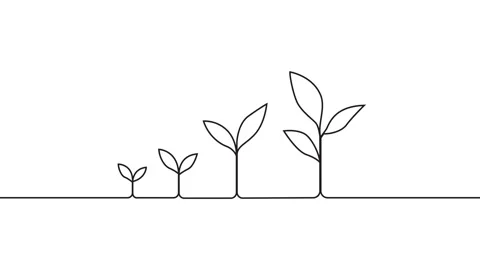 Leaves continuous single one line art drawing planting tree animation video Vídeo Stock 313421329