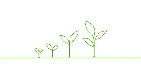 Leaves continuous single one line art drawing planting tree animation video Vidéo 313421331