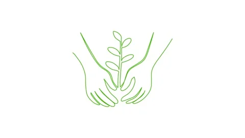 Leaves continuous single one line art drawing planting tree animation video Vídeos de archivo 313421333