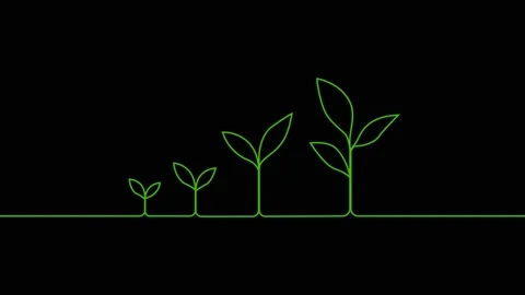 Leaves continuous single one line art drawing planting tree animation video Stock Footage 313421337