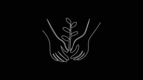 Leaves continuous single one line art drawing planting tree animation video Video stock 313421343