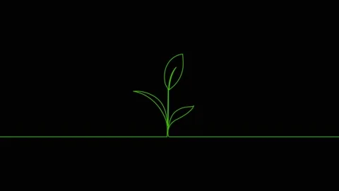 Leaves continuous single one line art drawing planting tree animation video Stock Footage 313421350