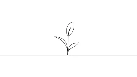 Leaves continuous single one line art drawing planting tree animation video Stock Footage 313421351