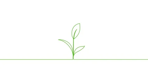 Leaves continuous single one line art drawing planting tree animation video Stock Footage 313421353