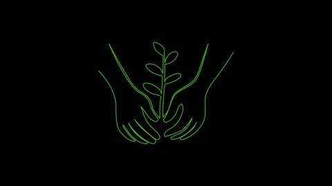 Leaves continuous single one line art drawing planting tree animation video Video stock 313421354