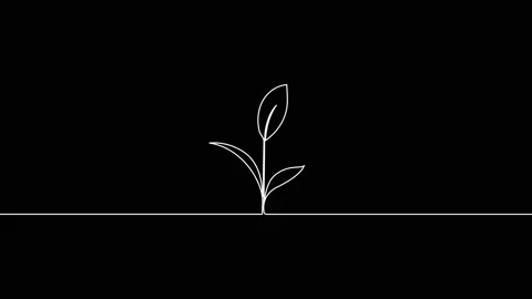 Leaves continuous single one line art drawing planting tree animation video Stock Footage 313421355
