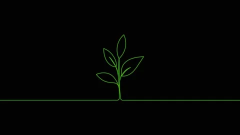 Leaves continuous single one line art drawing planting tree animation video Video stock 313421362